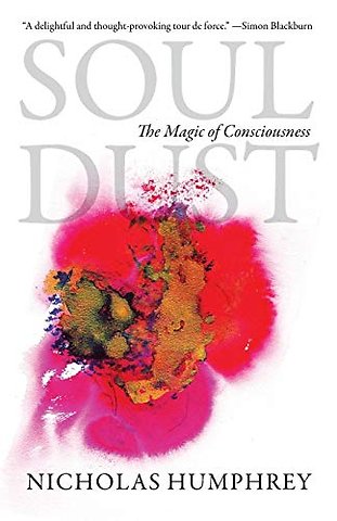 Soul Dust – The Magic of Consciousness