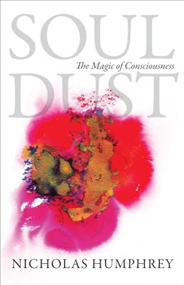 Soul Dust – The Magic of Consciousness