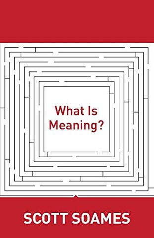 What Is Meaning?