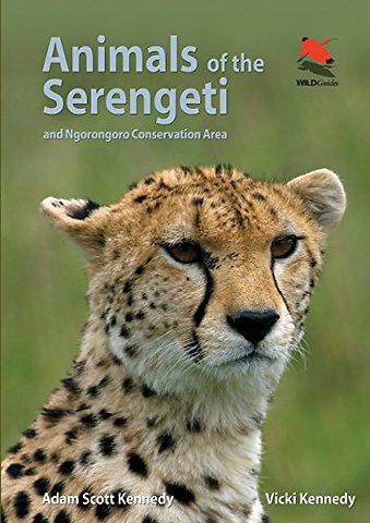 Animals of the Serengeti
