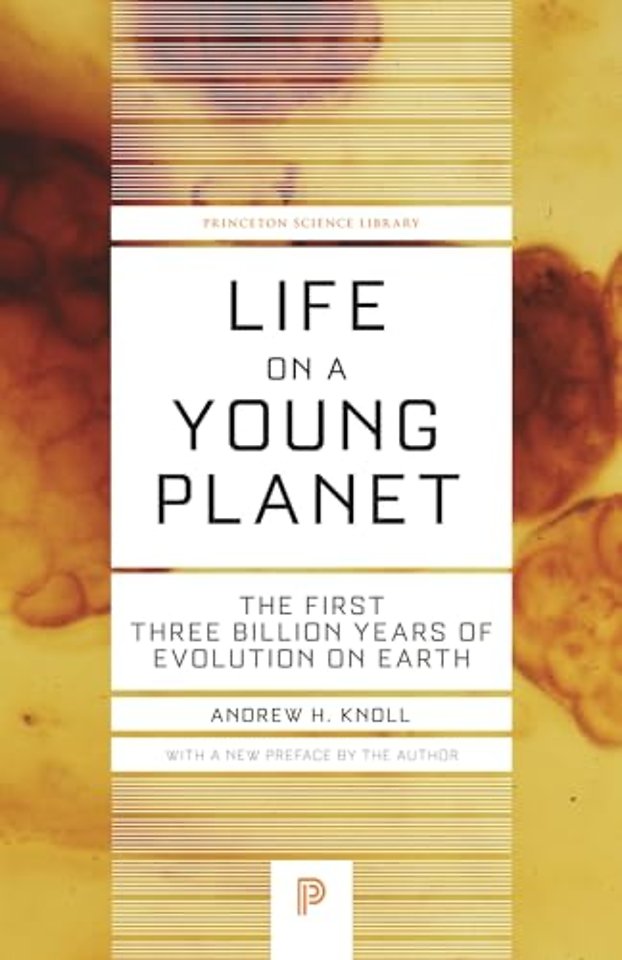 Life on a Young Planet