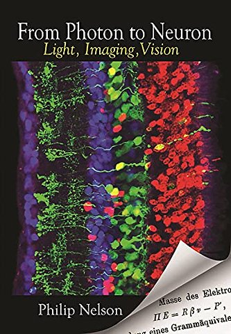 From Photon to Neuron – Light, Imaging, Vision