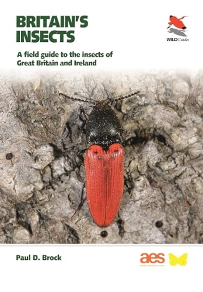 Britain's Insects
