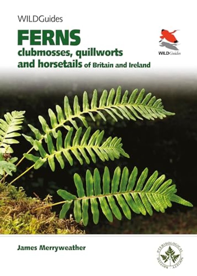 Ferns – Clubmosses, Quillworts and Horsetails of Britain and Ireland
