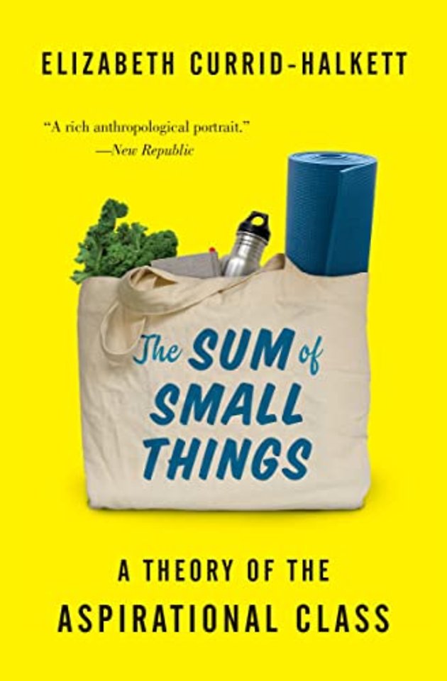 The Sum of Small Things – A Theory of the Aspirational Class