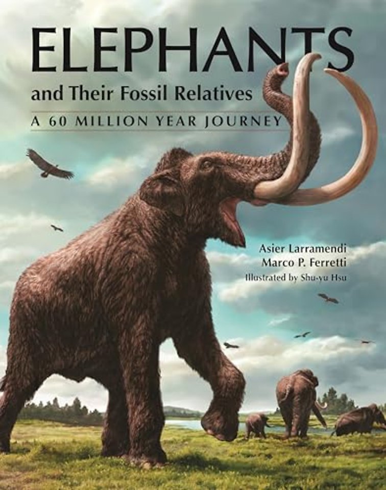 Elephants and Their Fossil Relatives – A 60 Million Year Journey