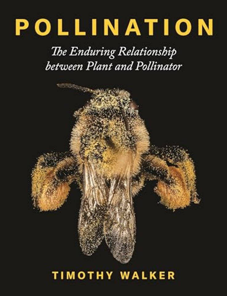 Pollination – The Enduring Relationship between Plant and Pollinator