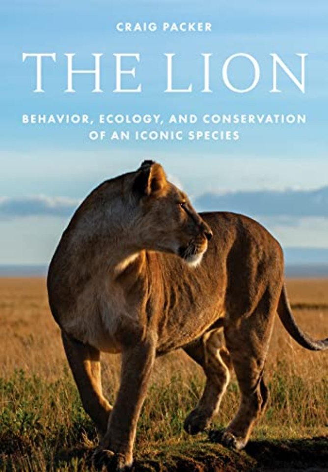 The Lion – Behavior, Ecology, and Conservation of an Iconic Species