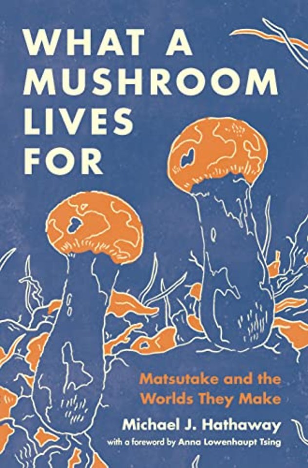 What a Mushroom Lives For – Matsutake and the Worlds They Make