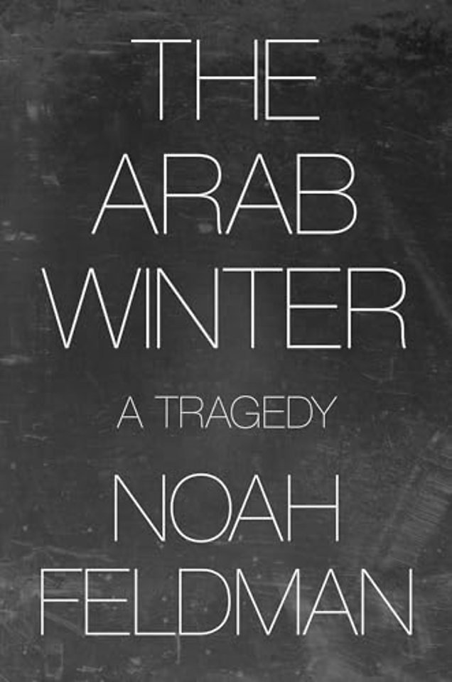The Arab Winter