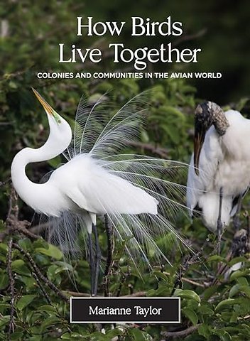 How Birds Live Together