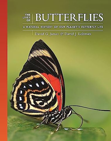 The Lives of Butterflies