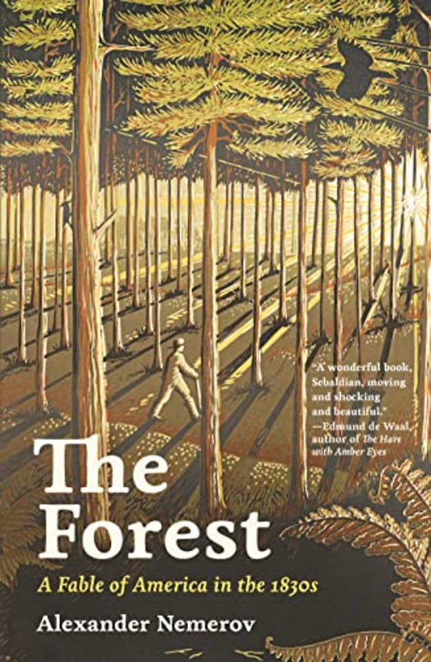 Forest – A Fable of America in the 1830s