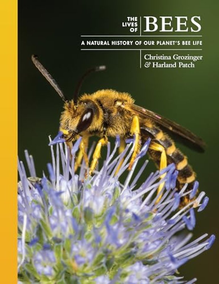 The Lives of Bees