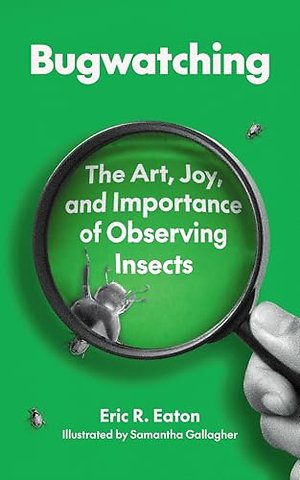 Bugwatching
