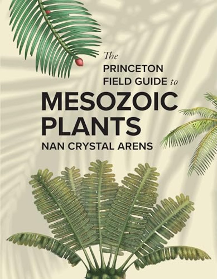 Princeton Field Guide to Mesozoic Plants