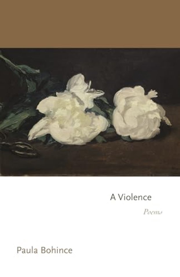 A Violence – Poems