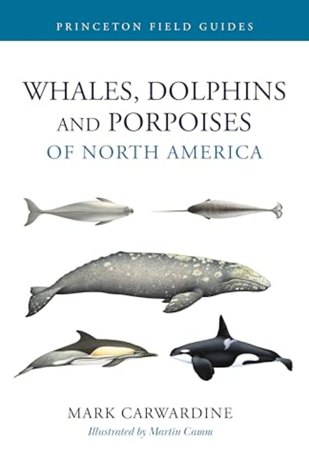 Whales, Dolphins, and Porpoises of North America