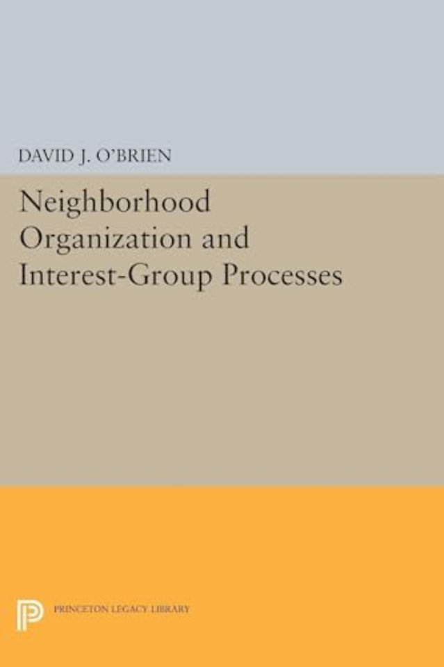 Neighborhood Organization and Interest-Group Processes