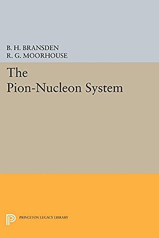 Pion–Nucleon System