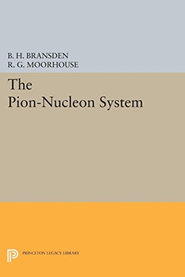 Pion–Nucleon System