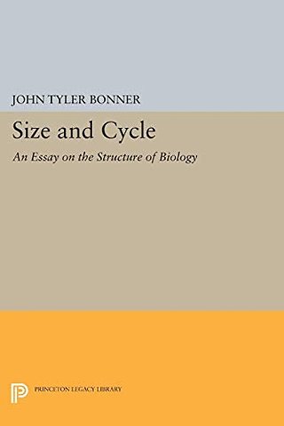 Size and Cycle – An Essay on the Structure of Biology