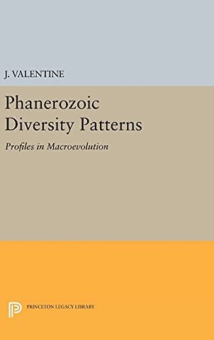 Phanerozoic Diversity Patterns