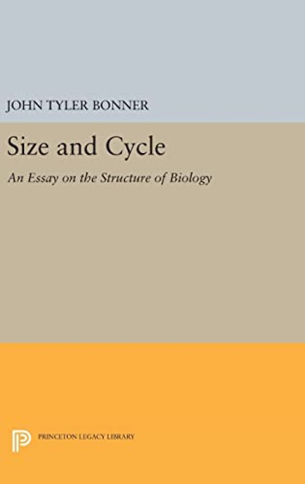 Size and Cycle
