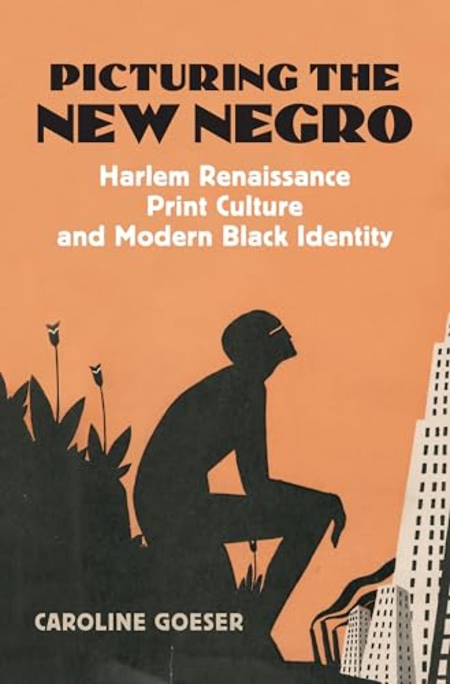 Picturing the New Negro