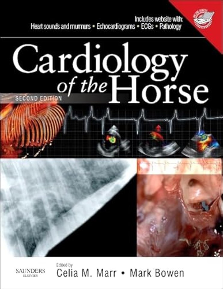 Cardiology of the Horse