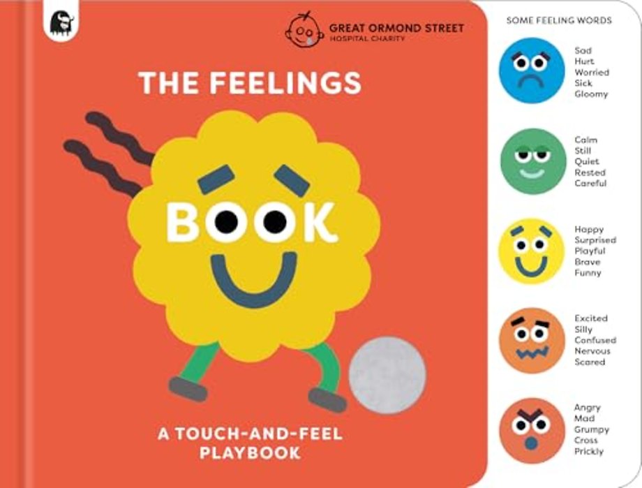 The Feelings Book: Touch-and-Feel Emotions