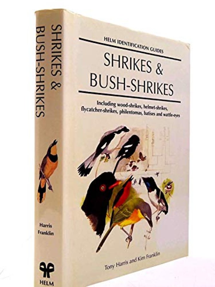 Shrikes and Bush-shrikes