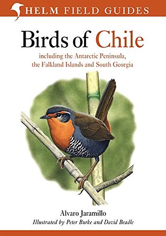 Birds of Chile