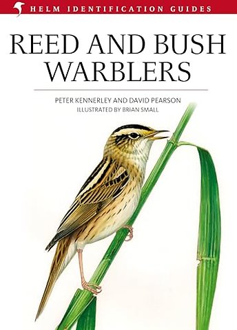 Reed and Bush Warblers