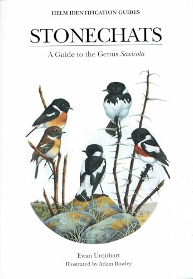 Stonechats