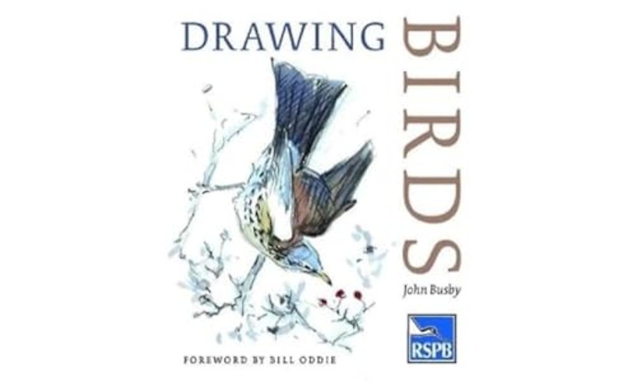Drawing Birds
