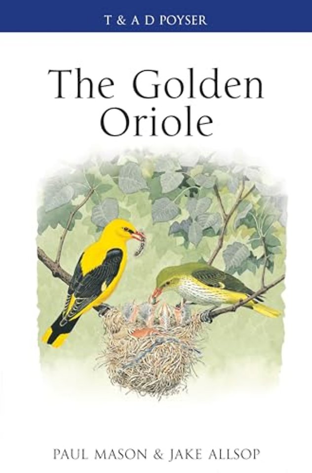 The Golden Oriole