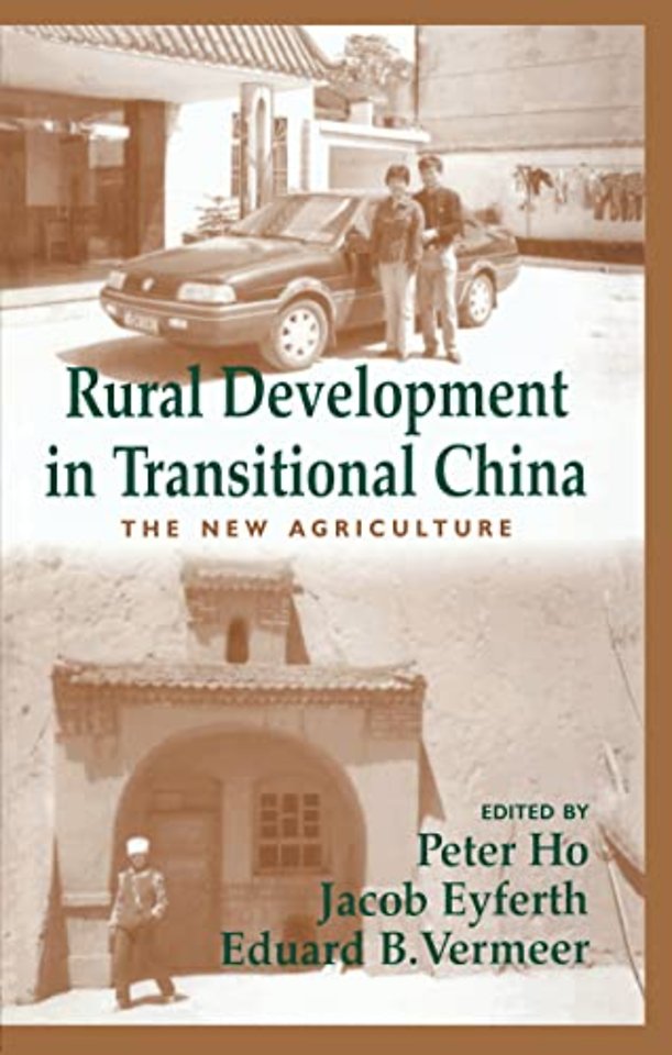 Rural Development in Transitional China