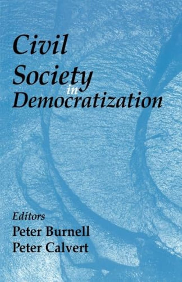 Civil Society in Democratization