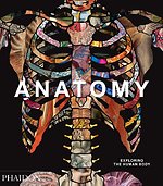 Anatomy