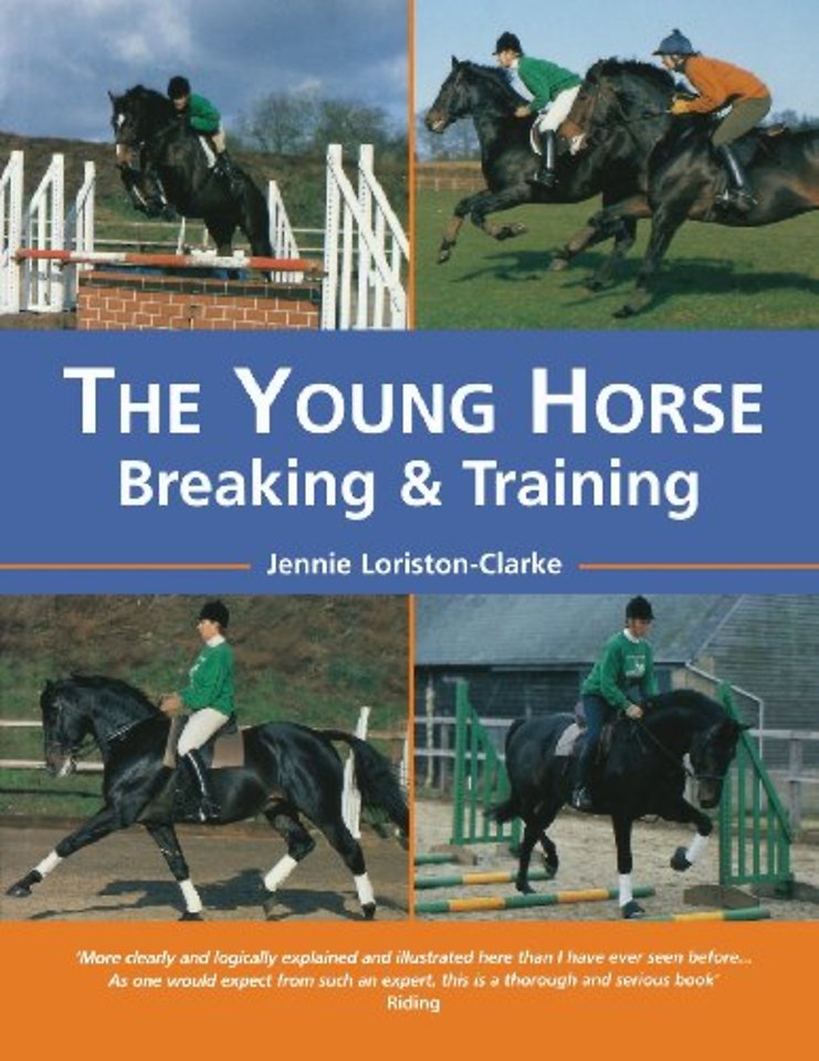 The Young Horse