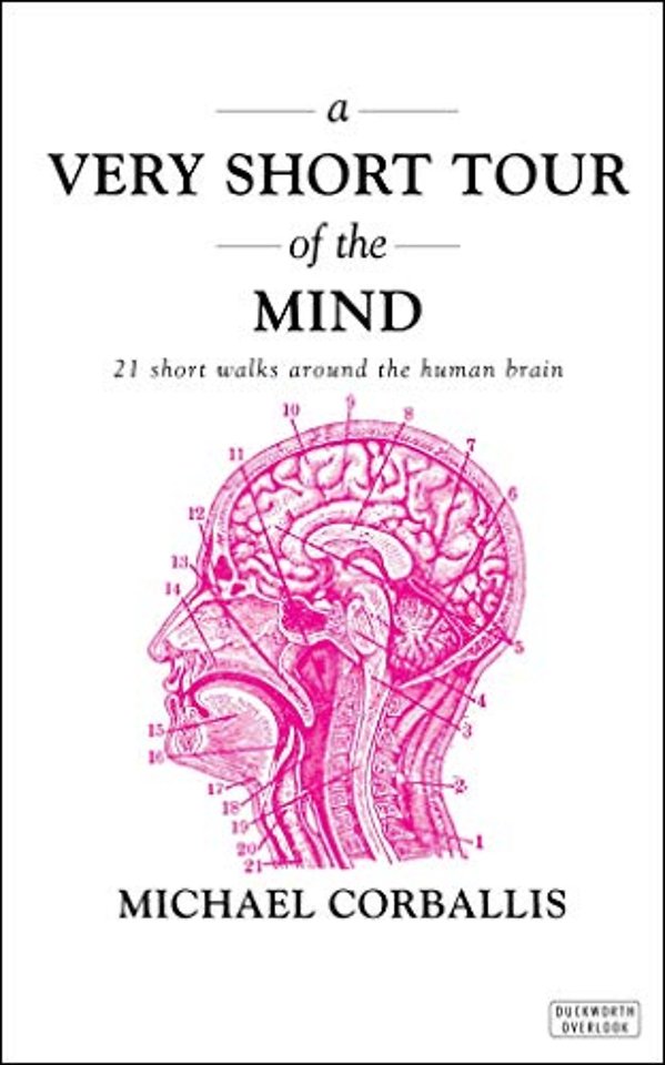 A Very Short Tour of the Mind