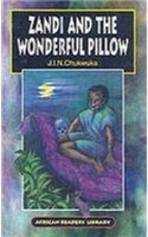 Zandi and the Wonderful Pillow