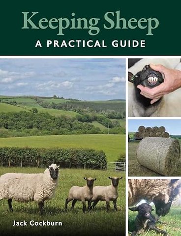Keeping Sheep