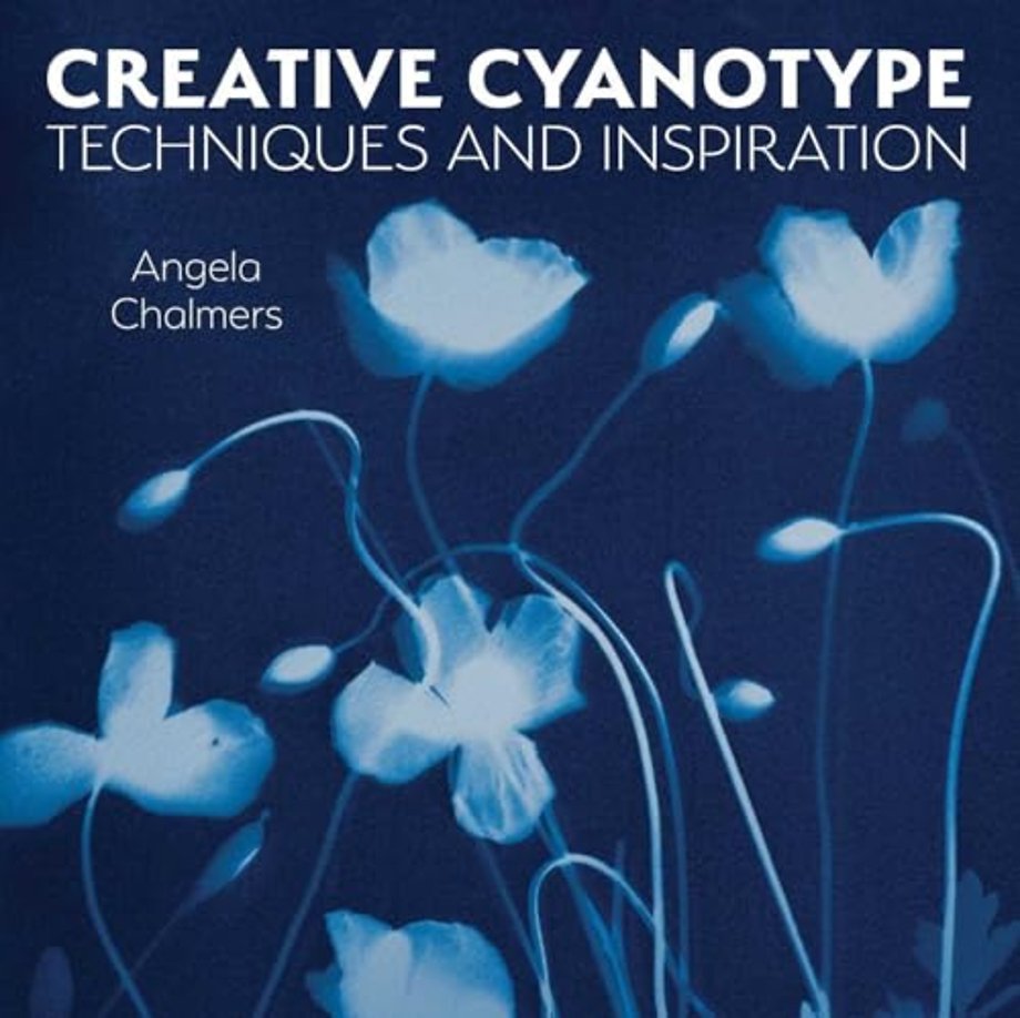 Creative Cyanotype – Techniques and Inspiration