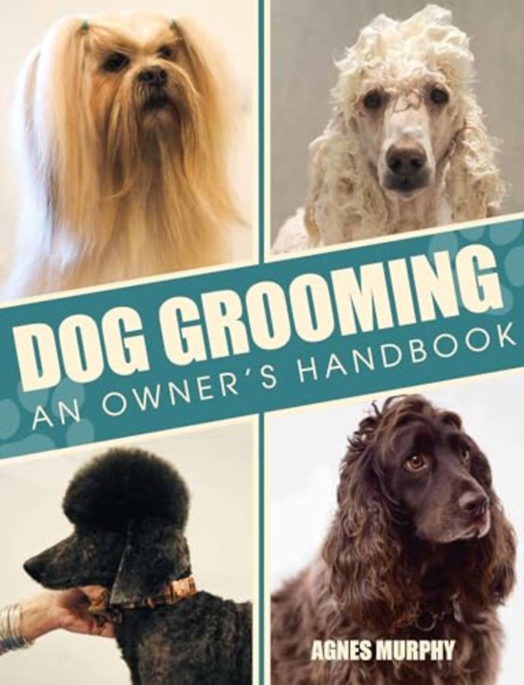 Dog Grooming