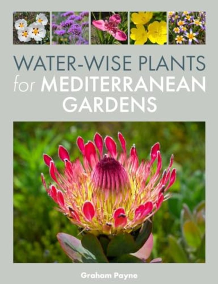 Water-Wise Plants for Mediterranean Gardens