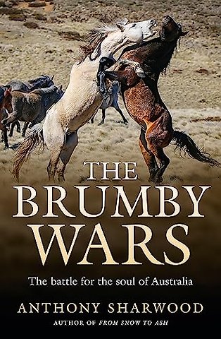 The Brumby Wars