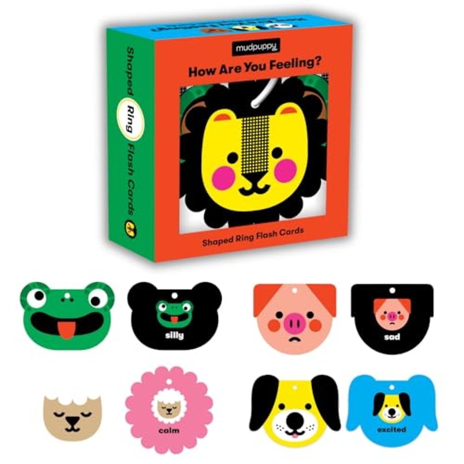 How Are You Feeling? Shaped Ring Flash Cards