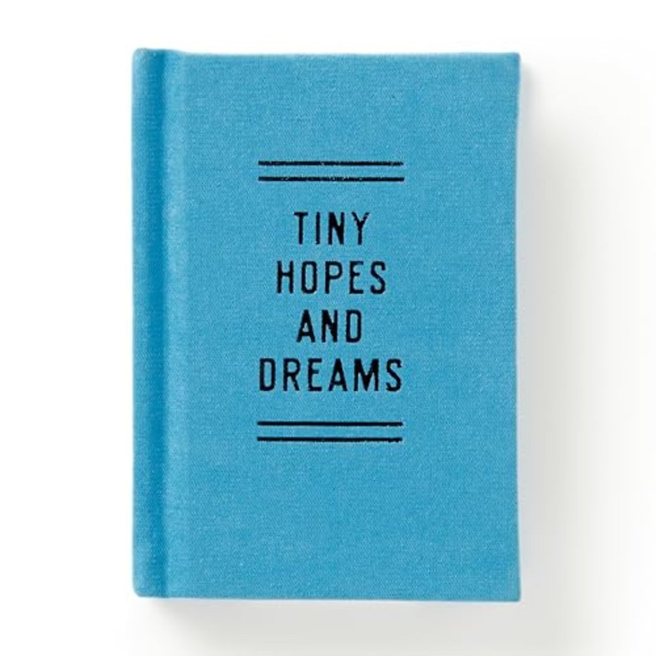 Tiny Hopes And Dreams Tiny Diary